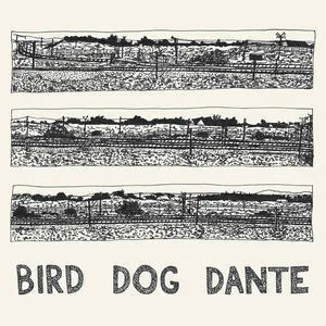 Bird dog Dante